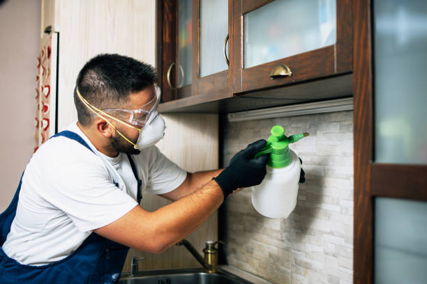 Best Pest Control Near Me  in Badin, NC
